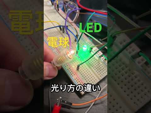 豆電球とLEDだと光り方が結構違う。